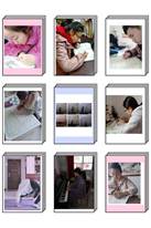 http://www.xzgdsf.com/__local/B/36/E2/A084E518DEC8C888E860C23D91A_9B91DBEA_1502F.jpg